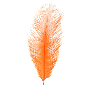 Image of MFC Ostrich Plume Hot Orange