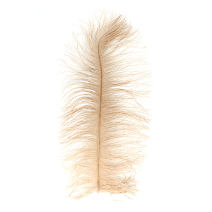 Image of MFC Ostrich Plume Tan