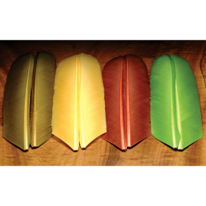 Image of Hareline Turkey Biot Quills Dark Tan