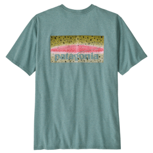 Image of Patagonia Men's Take a Stand Responsibili-Tee Rainbow Run Blue Sage XL