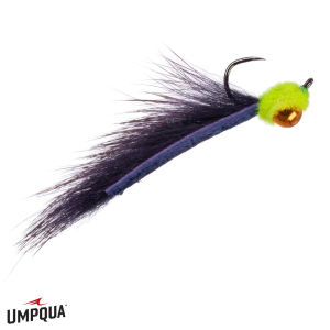 Image of Sunny Side Leech Fly Purple / Chartreuse 16