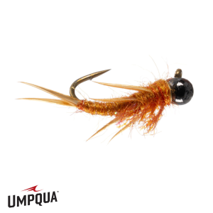 Image of Firecracker Stone Fly Golden 12