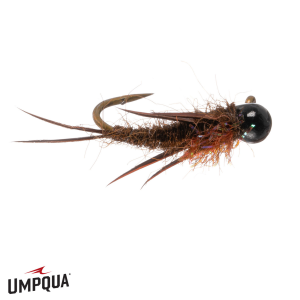 Image of Firecracker Stone Fly Dark 10