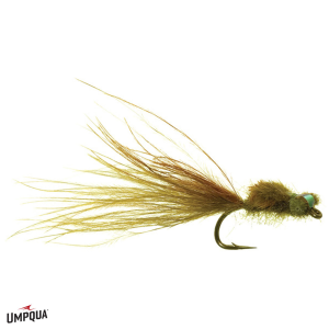 Image of Scott's Damsel Fly Olive 14