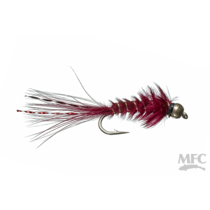 Image of Chan's BMW Maroon Fly 12