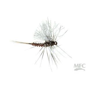 Image of MFC Galloup's OG Bent Cripple Fly Brown 14