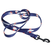 RepYourWater Dog Leash Bison Trutta