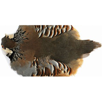Wapsi Hungarian Partridge Half Skin - Natural
