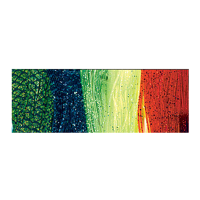 Wapsi Glow Sili Legs - Chartreuse/Black