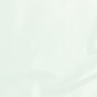 Wapsi Tyvek Wing Sheet - White