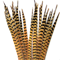 Wapsi Ringneck Tail Feathers - One Pair Light Olive