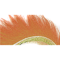 Wapsi Cross-Cut Rabbit Zonkers Fluorescent Fire Orange