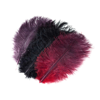 Wapsi Ostrich Plumes Assortment Regular Colors
