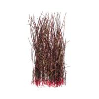 Wapsi Strung Peacock Herl Orange