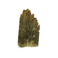 Wapsi Soft Hen Hackle Saddle Patches Olive