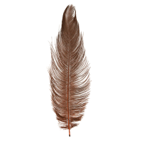 MFC Ostrich Plume Brown