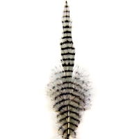 MFC Barred Saddle Hackle Grey/Black