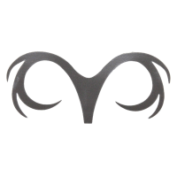 MFC Pacchiarini's Double Dragon Tails Gray