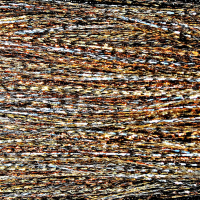 MFC Kreelex Fish Flash Blend Holo Gold/Holo Copper/Holo Silver