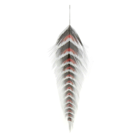 MFC Galloup's Grizzled Fish Feathers Red/Black