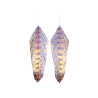 MFC Galloup's Fish Feathers Juvy Rainbow