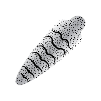 Pro Sportfisher Shrimpshell (No Eyes) Clear Small