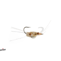 One Armed Bandit Fly | Sand 2