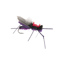 Dancin' Ricky Fly | Purple 16