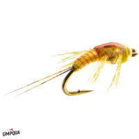 Two Bit Sally Fly | Yellow Sally 14