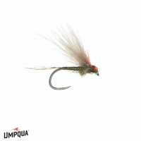 Antonio's Adult PMD Fly 17
