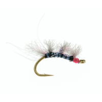 Sow Chow Davidson Fly | Gray 18