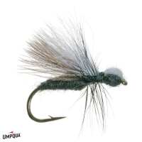 CDC Ant Shimazaki Fly | Black 16
