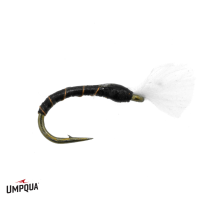 No Mercy Midge Iwane Fly | Black 18