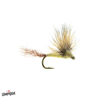 Sparkle Dun Fly | Cream/Yellow 16