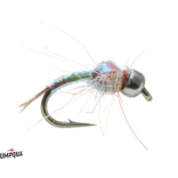Tungsten Rainbow Warrior Silver Bead Fly 18