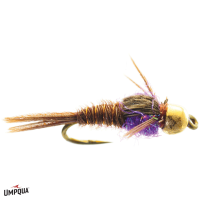 Hot Belly Pheasant Tail Gold Bead Fly | Purple 16