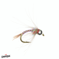 Rainbow Warrior CDC Tungsten Egan Fly | Rainbow 22