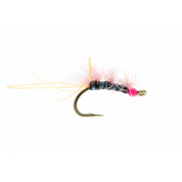 Sow Chow Davidson Fly | Pink 14
