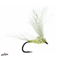 May Day Fly | PMD 18