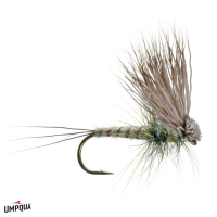 Hairwing Dun Fly | Colorado Green Drake 10