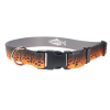 RepYourWater Brown Trout Skin Large Dog Collar