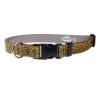 RepYourWater Brook Trout Skin Large Dog Collar