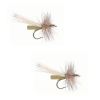 Umpqua Puterbaugh Foam Caddis Olive 2 Pack 14