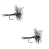 Umpqua Black Gnat 2 Pack 16