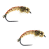 Umpqua Egans Gti Caddis Amber 2 Pack 14