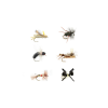 Fulling Mill Terrestrial Fly Selection - 12 Pack