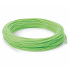 Cortland 5' Ghost Tip Intermediate Precision Subsurface Fly Line WF6F/I