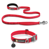 Ruffwear Roamer Leash & Crag Collar Combo