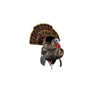 United States Association of Gun Owners Avian X HDR Strutter Multi-Color Turkey Decoy - $289.99 at United States Association of Gun Owners