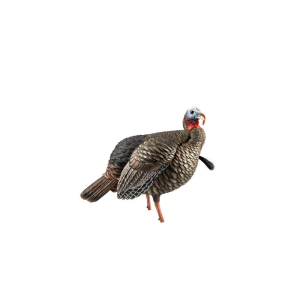 United States Association of Gun Owners Avian X HDR Jake Decoy AVX-AVX8105 Multi-Color Turkey Decoy - $169.99 at United States Association of Gun Owners